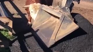 😂 The Best Assistant EVER! | FunFM