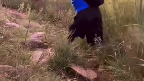 🤯✨ Hikers with Lost Legs Form Inspiring Group! | FeedMyCuriosity