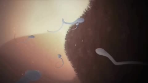 mRNA "Vaccines" Destroy Sperm Long-Term *1 min