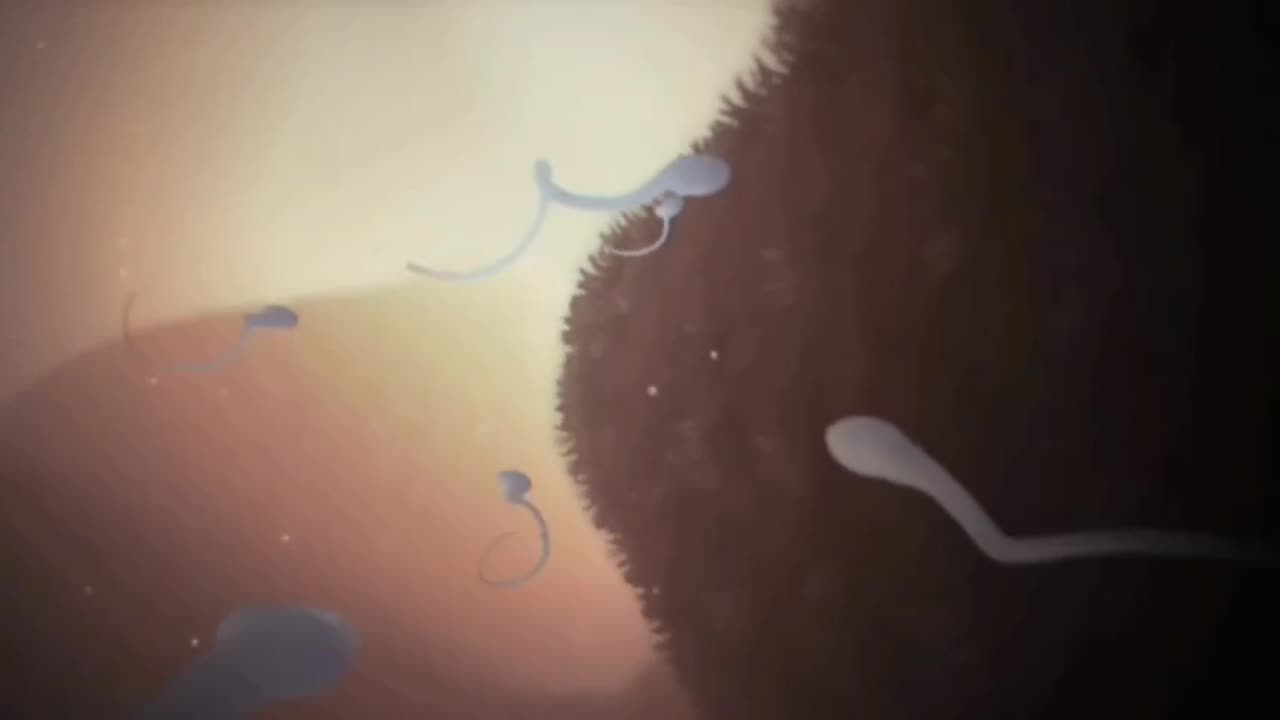 mRNA "Vaccines" Destroy Sperm Long-Term *1 min