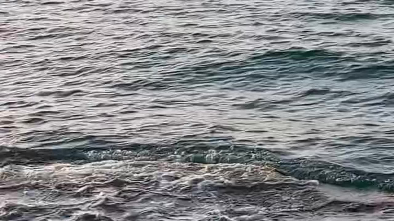 Wonderful shoot of a see true bath suit