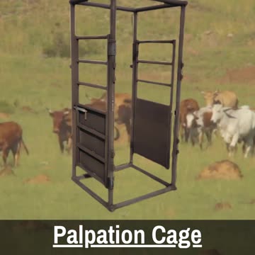 Superior Standard Palpation Cage