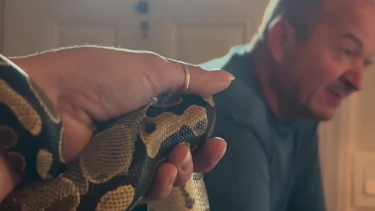 😂🐍 You Won't Believe This Snek Reaction! | FunFM
