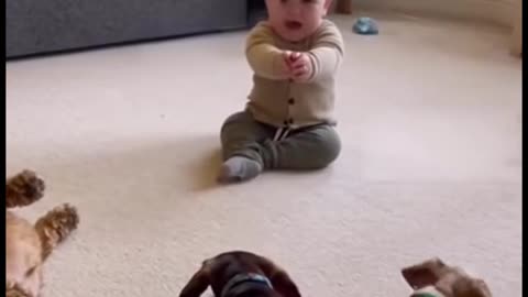 Cute Baby Playing with Animals | Adorable Baby and Pet Moments 2025