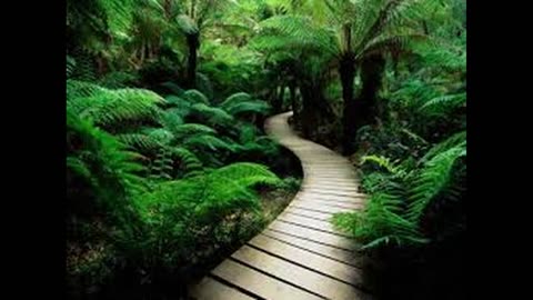 Deep Healing Journey