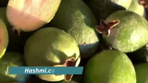 Khali Pet Amrud ke Fayde