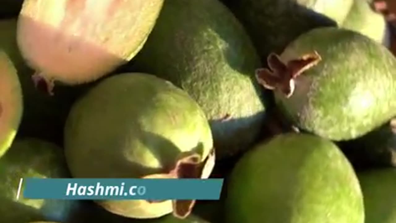 Khali Pet Amrud ke Fayde