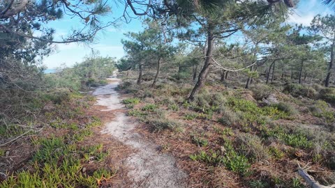 Chripmaz Trekking and Birdwatching in Lagoa de Sto Andre 26th DEC 2025 pt 1