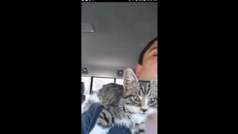 The Day I Rescued A Kitten (May 6, 2018)