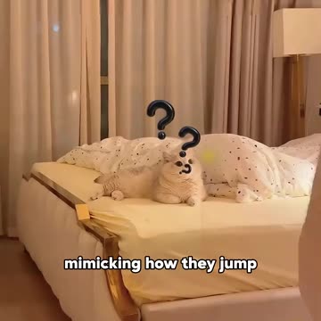 "This Cat Mom’s Revenge on Her Kittens Is Hilariously Adorable! 😂🐱"