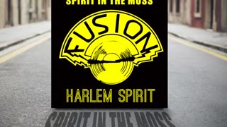 Harlem Spirit – Have a Good Time | Classic UK Reggae Vibes 💚💛❤️