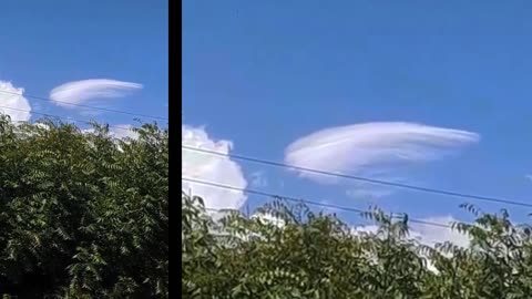 J'ai conduit mon équipage de Miami à Brooklyn, berceau des sphères, où atterrit le vaisseau spatial.