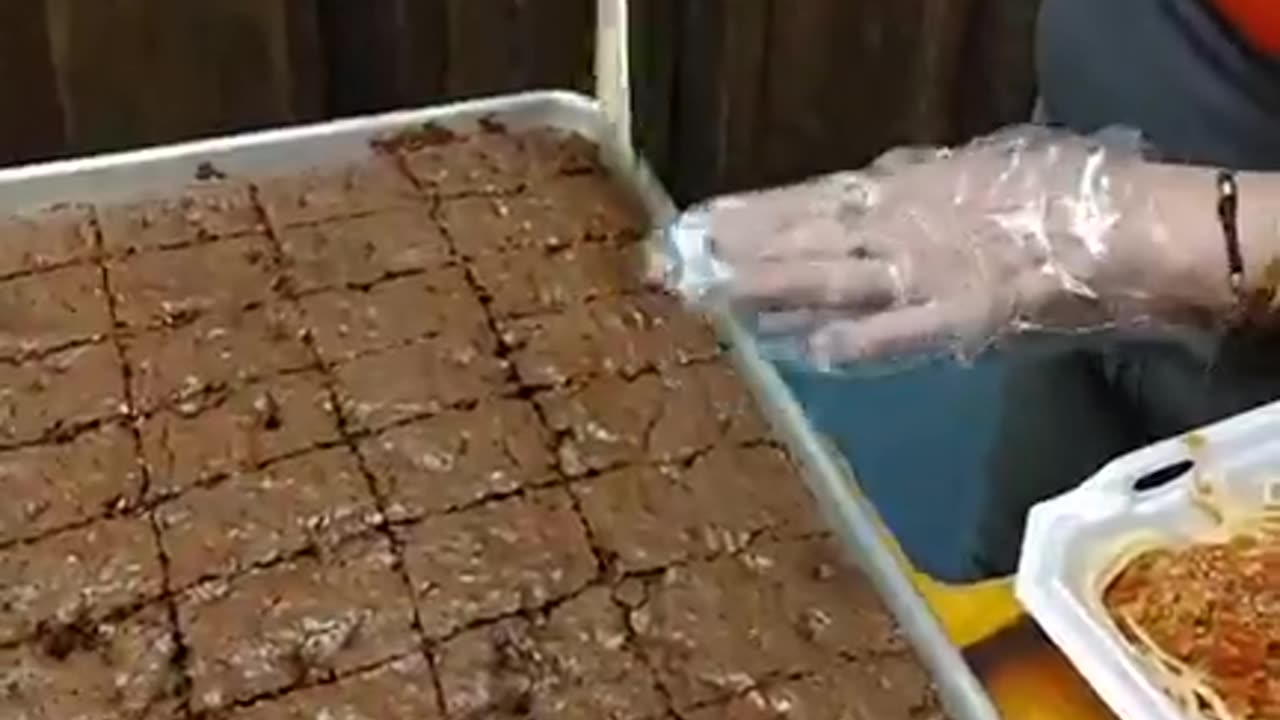 Messiah's Branch Mission Update! (02.06.2026)