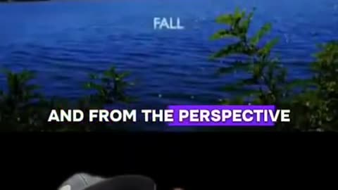 THE SIGN OF ✝ THE SOUTHERN CROSS