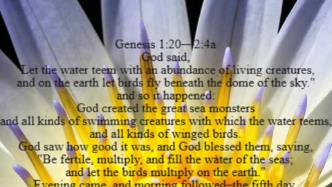 A reading from the book of Genesis, 1:20 – 2:4a