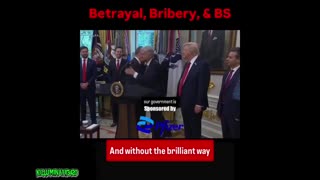 "Trust the Plan"| They Say
