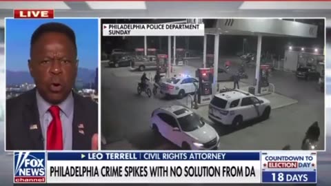 “George Soros, George Soros, George Soros! Leo Terrell GOES OFF Over Crime Spree