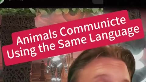 Animals Communicate Using the Same Language