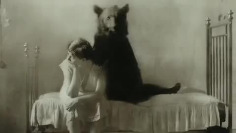 📸🐻 The Ghostly Bear: Real or Hoax? | TheHauntingHour