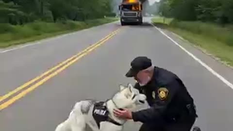 Must Watch: Animal warning to humans #dogs #rescue #animals