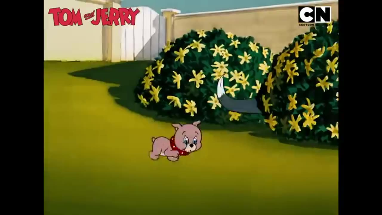 Tom & jerry fun fest funny cartoon video compilation non stop