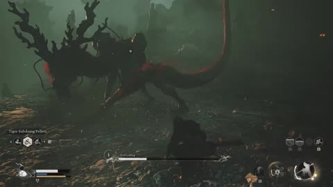 My very first encounter with a real dragon.