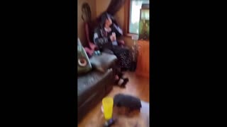 Daddy Goat 24/7 - Out Of Context Memes & Videos