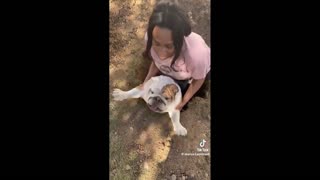 Daddy Goat 24/7 - Out Of Context Memes & Videos