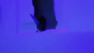 Daddy Goat 24/7 - Out Of Context Memes & Videos