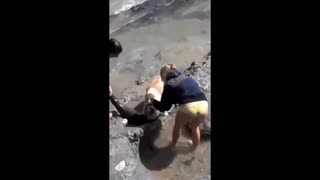 Daddy Goat 24/7 - Out Of Context Memes & Videos