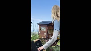 Daddy Goat 24/7 - Out Of Context Memes & Videos