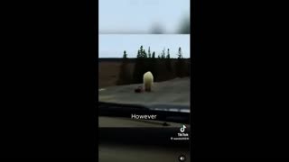 Daddy Goat 24/7 - Out Of Context Memes & Videos