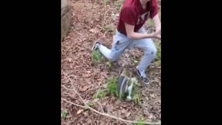 Daddy Goat 24/7 - Out Of Context Memes & Videos