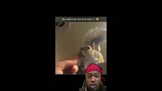 Daddy Goat 24/7 - Out Of Context Memes & Videos