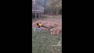 Daddy Goat 24/7 - Out Of Context Memes & Videos