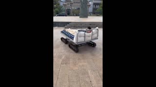 Daddy Goat 24/7 - Out Of Context Memes & Videos