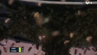 Daddy Goat 24/7 - Out Of Context Memes & Videos