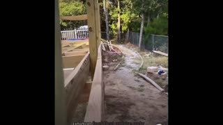 Daddy Goat 24/7 - Out Of Context Memes & Videos