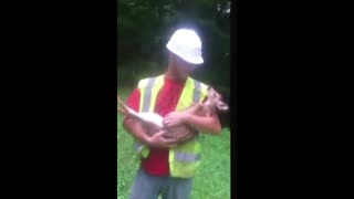 Daddy Goat 24/7 - Out Of Context Memes & Videos