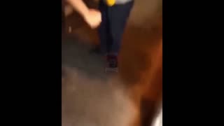 Daddy Goat 24/7 - Out Of Context Memes & Videos