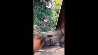 Daddy Goat 24/7 - Out Of Context Memes & Videos