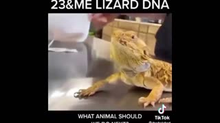 Daddy Goat 24/7 - Out Of Context Memes & Videos