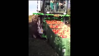 Daddy Goat 24/7 - Out Of Context Memes & Videos