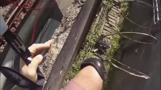 Daddy Goat 24/7 - Out Of Context Memes & Videos