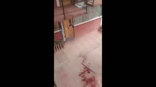 Daddy Goat 24/7 - Out Of Context Memes & Videos