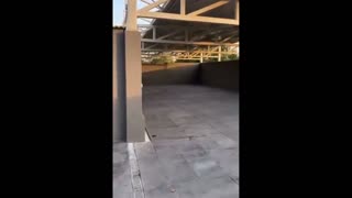 Daddy Goat 24/7 - Out Of Context Memes & Videos