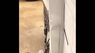 Daddy Goat 24/7 - Out Of Context Memes & Videos