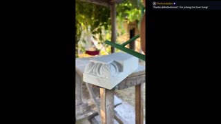 Daddy Goat 24/7 - Out Of Context Memes & Videos