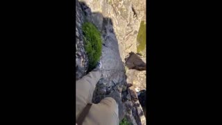 Daddy Goat 24/7 - Out Of Context Memes & Videos