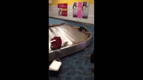 Daddy Goat 24/7 - Out Of Context Memes & Videos